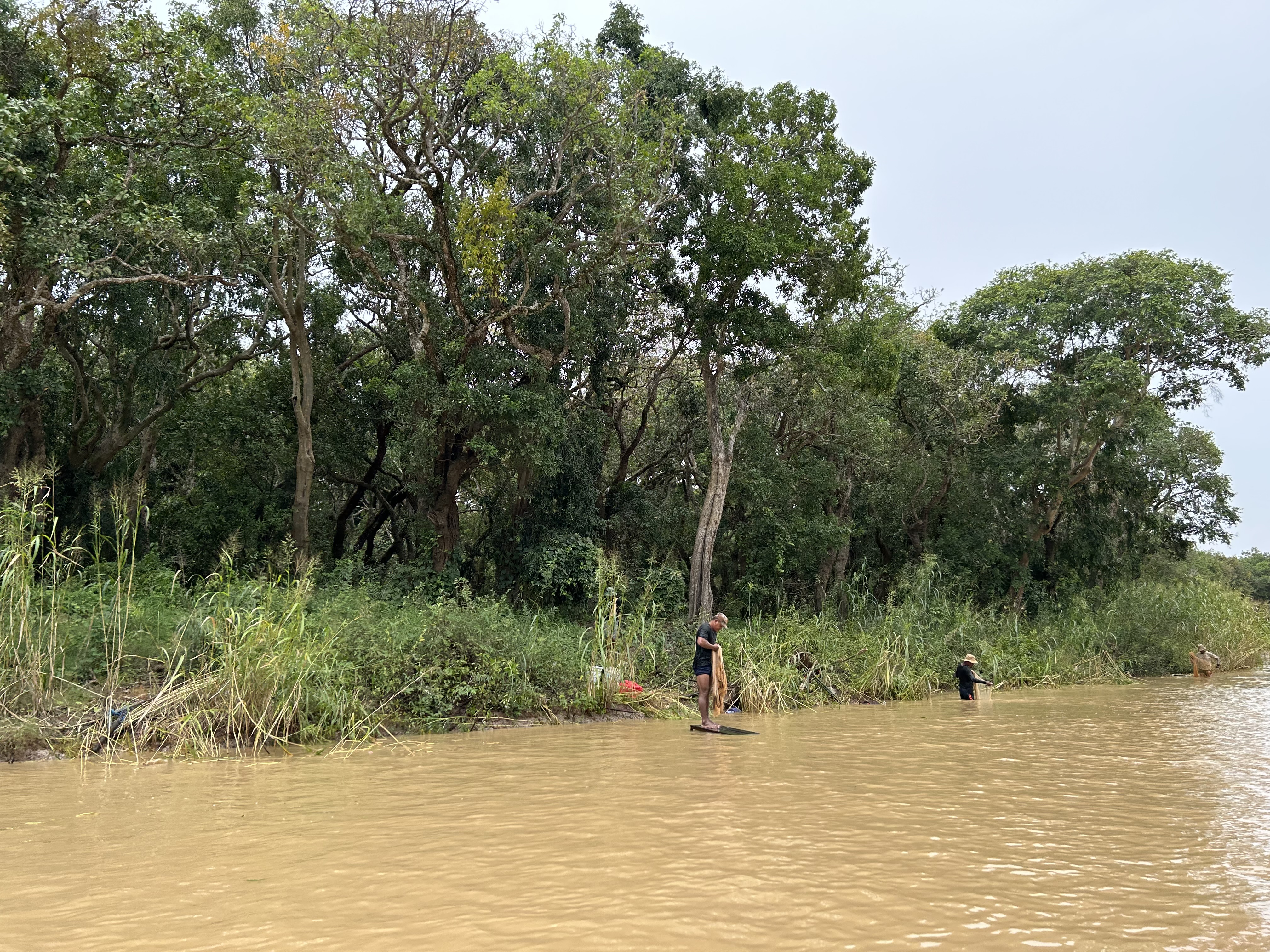 The yearly floods in the forest near Kampong Phluk sustain local livelihoods by creating a spawning ground for fish.