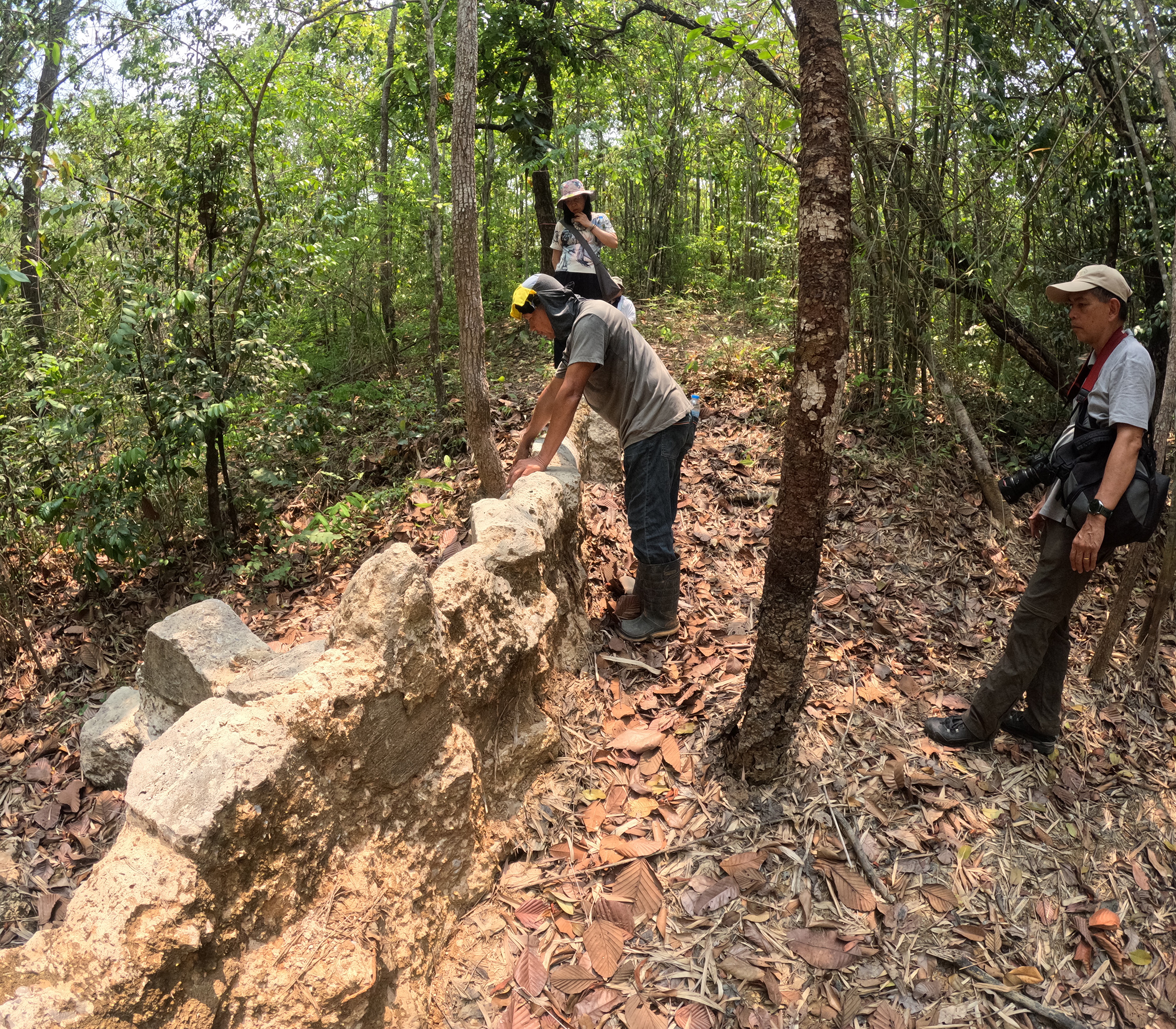 A cement check dam built to reduce rainfall runoff and increase the forest’s moisture-retention capacity. 