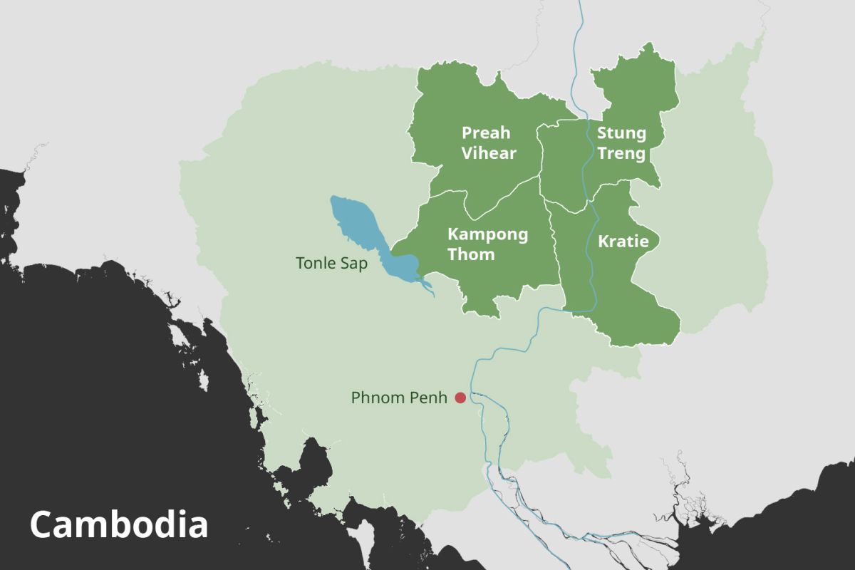PaFF map