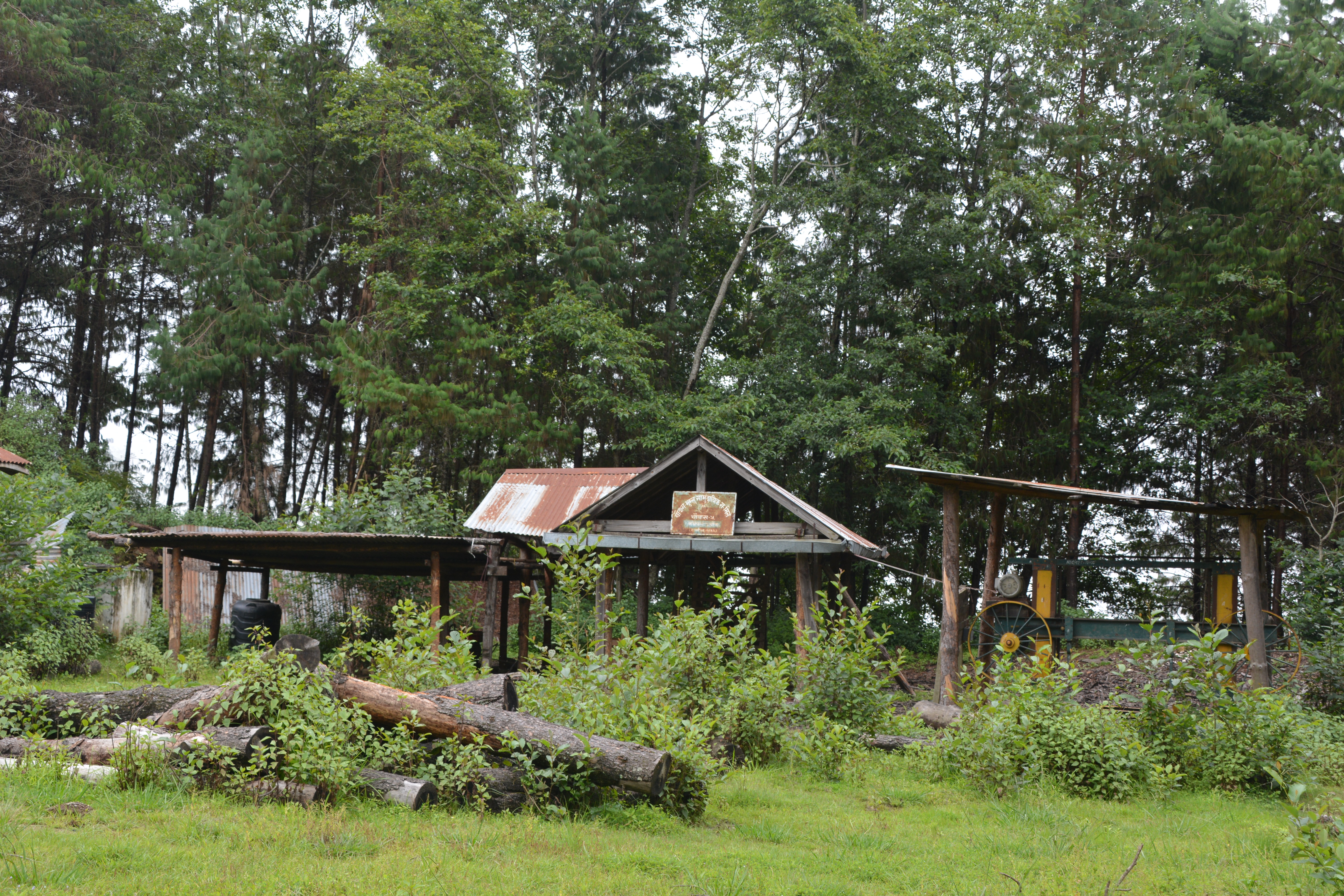 Current state of the Chaubas Sawmill and its infrastructure, once managed by the community for processing wood from planted forests. Photo by Pawan Karki/RECOFTC 