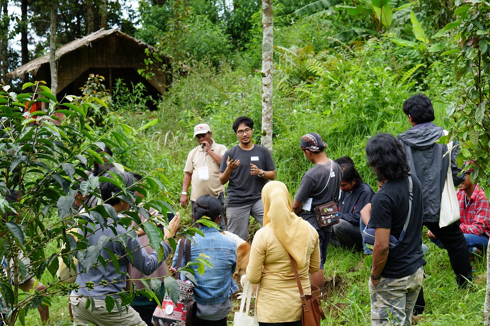 Diskusi kopi di kebun kopi Blok Salawe