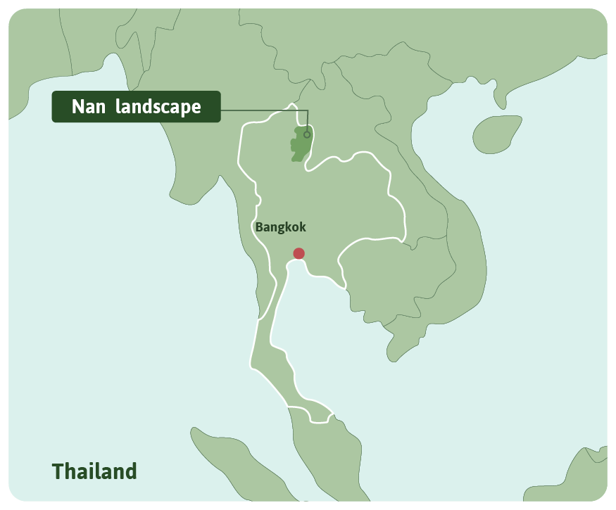 Nan landscape