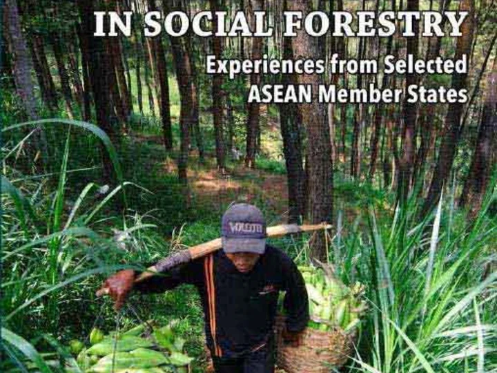 Strategic Responses to Emerging Issues in Social Forestry: Experiences from Selected ASEAN Member States
