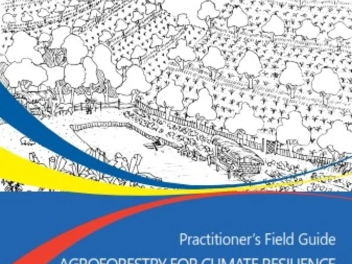 Practitioner’s field guide: agroforestry for climate resilience