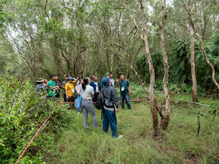 Representatives from the Citizens’ Forest Network visit Mae Ram Phueng peat swamp forest in Prachuap Khiri Khan province during the 2024 Citizens’ Forest Assembly. 