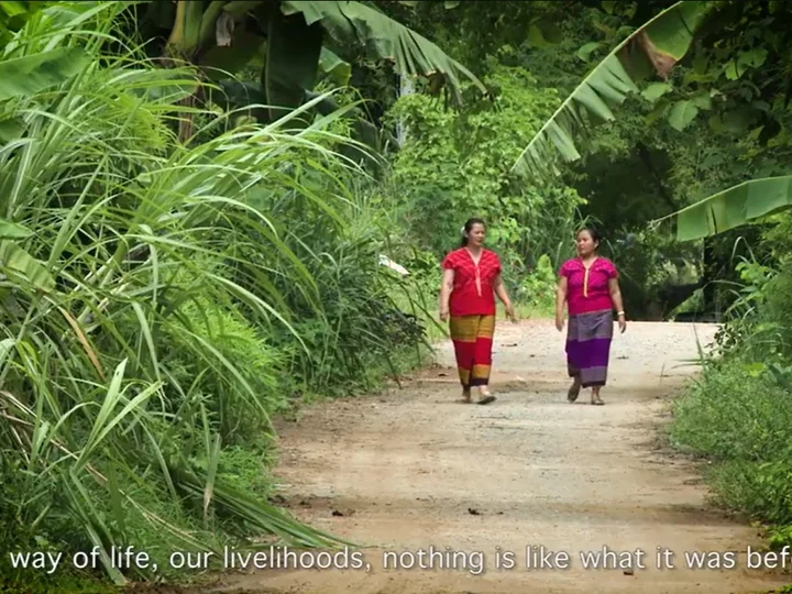 Indigenous women and forest management