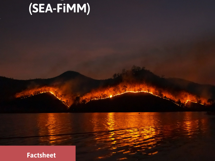 sea-fimm-flyer
