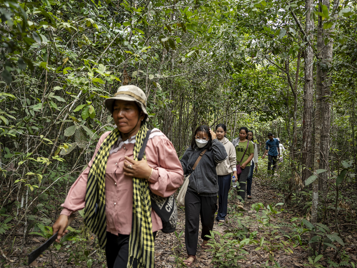 Youth as guardians of the forests