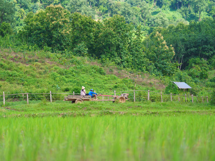 A village in Bokeo province, Lao PDR