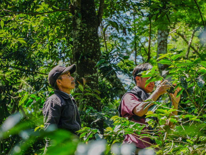 Community-led monitoring in forest-risk commodity supply chains