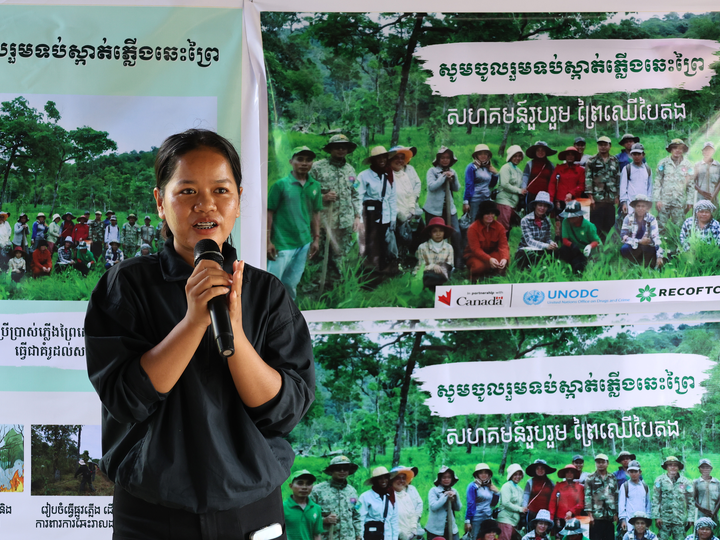 Youth stepping forward as forest guardians