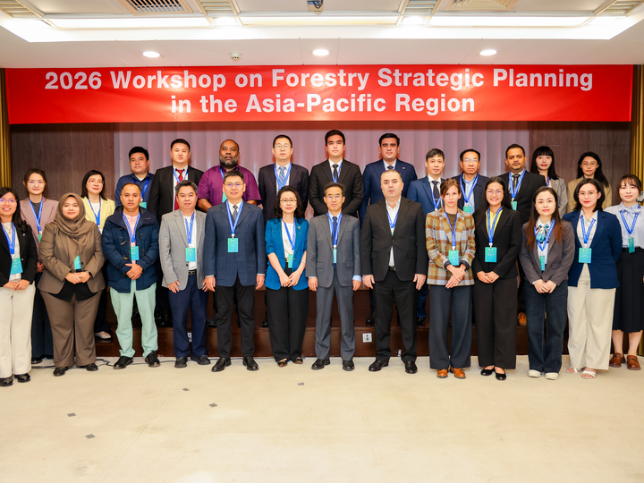 Workshop participants at the forestry strategic planning meeting.