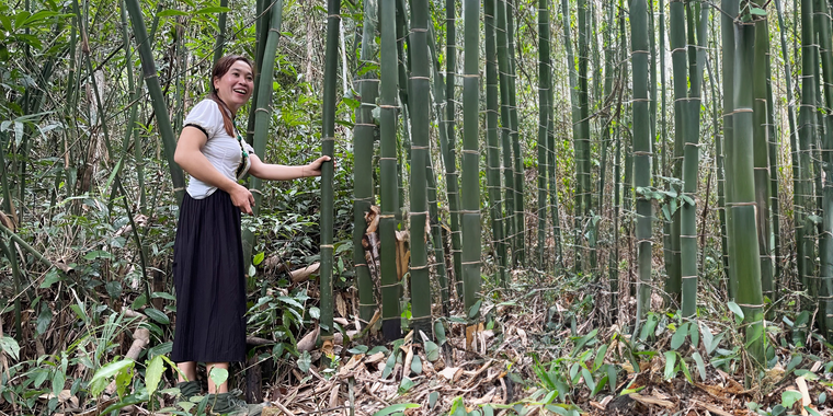 Vietnam-community-forest