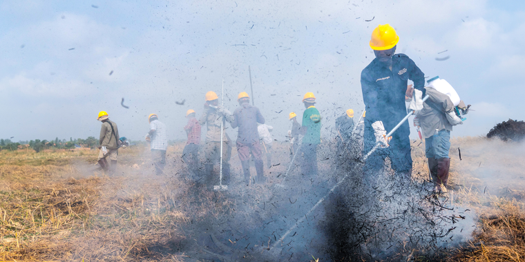 CBFiM field training on fire management practices