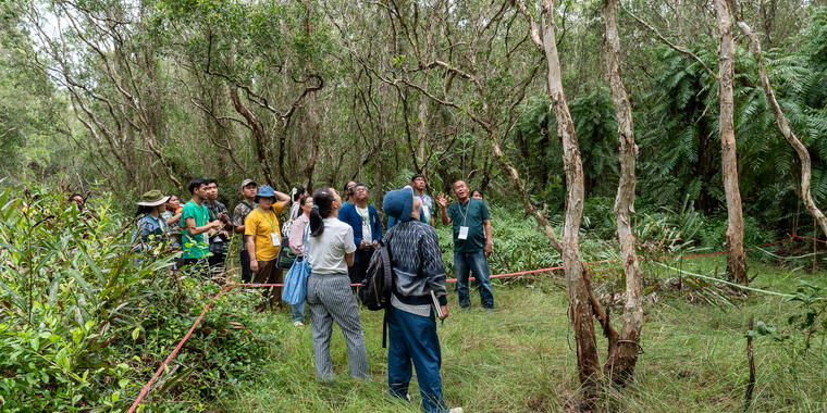 Representatives from the Citizens’ Forest Network visit Mae Ram Phueng peat swamp forest in Prachuap Khiri Khan province during the 2024 Citizens’ Forest Assembly. 