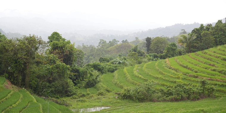 The Carood watershed in Bohol, Philippines, spans 101,887 hectares of diverse land uses, ranging from coastal mangroves to agricultural land.
