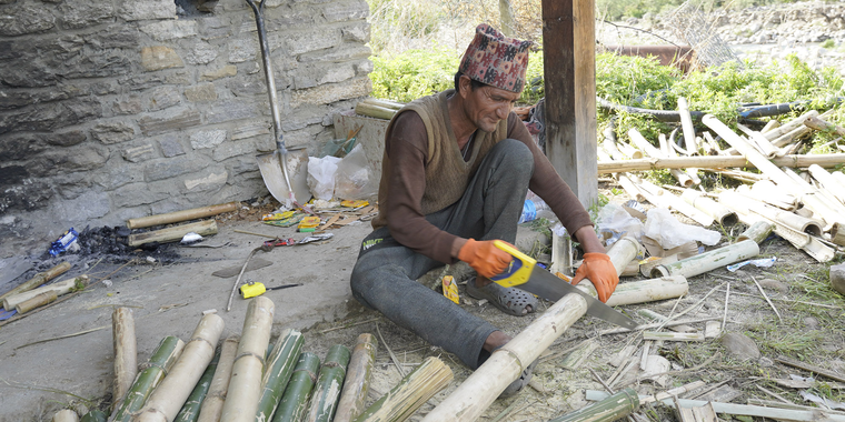  local man prepares bamboo poles for use, cutting them according to the required specifications. 