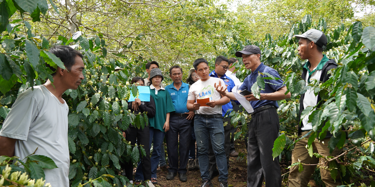 Field trip in coffee farm