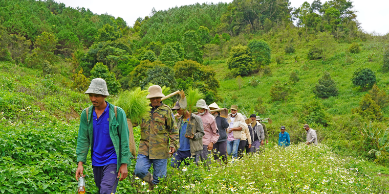 Villagers in Cho Rung village, Da Quyn commune, Duc Trong district, Lam Dong province, Viet Nam take part in post-fire restoration by planting trees