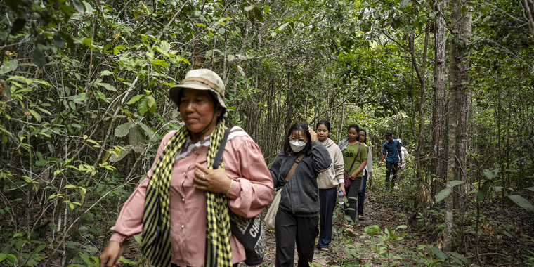 Youth as guardians of the forests
