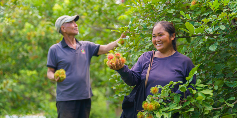 Community forestry in Lao PDR