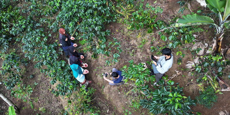 Coffee smallholder and local youth collecting coffee farm information in Indonesia