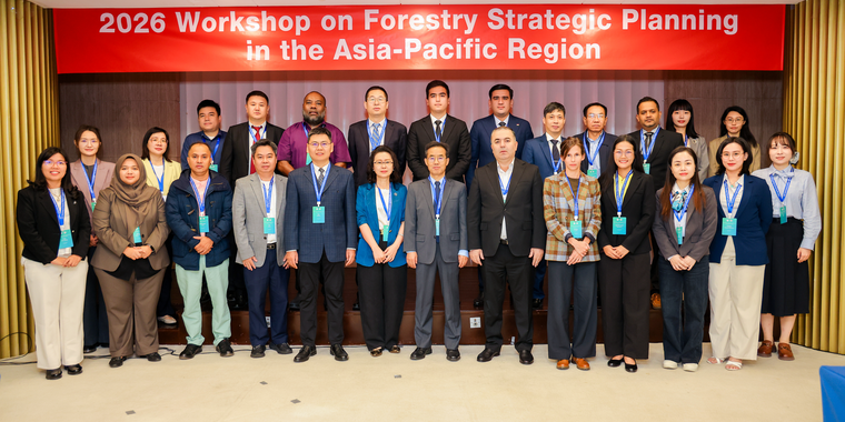 Workshop participants at the forestry strategic planning meeting.