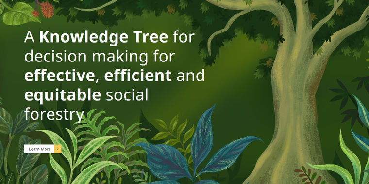 What is Social Forestry?