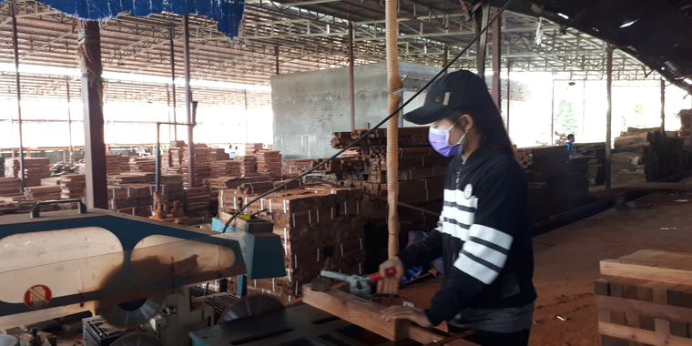 women working with the machine in the wood processing company