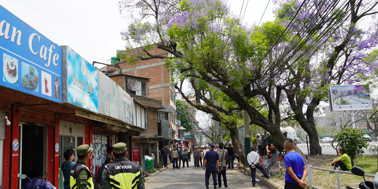 Trained personnel cutting down overgrown branches of a Jacaranda tree at Lalitpur, Nepal