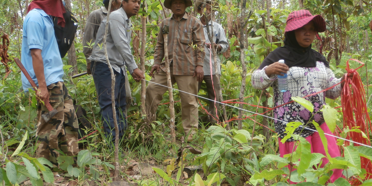 Forest inventory in Pursat province