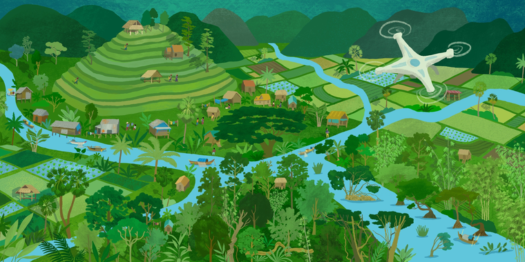 landscape