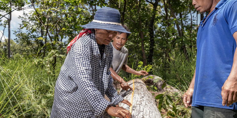 O Taneung community forest