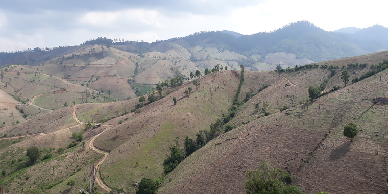 FLR seeks to restore ecological stability 