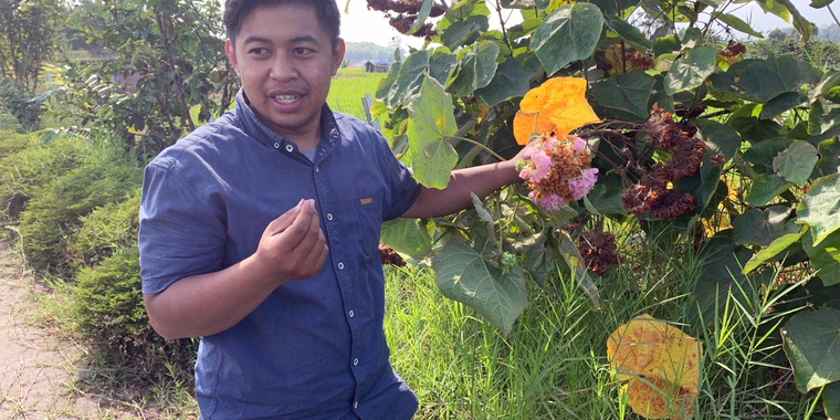 Ishan Yudha manages 500 square metres of social forestry land in Ciwidey, where he keeps stingless honey bees and is testing out multiple smart agricultural ventures.