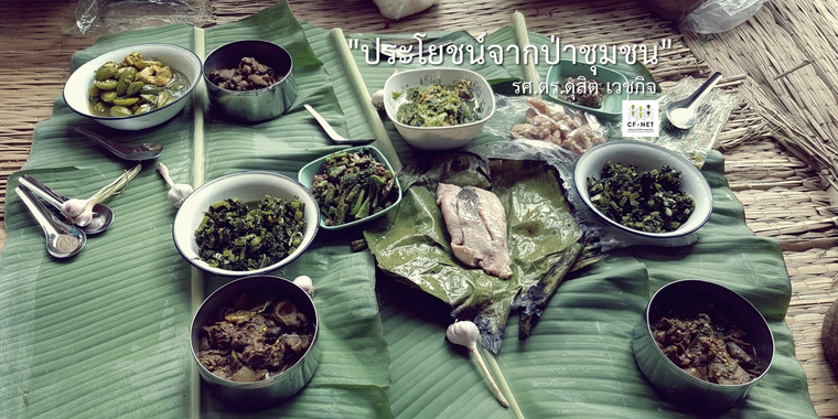 ประโยชน์จากป่าชุมชน