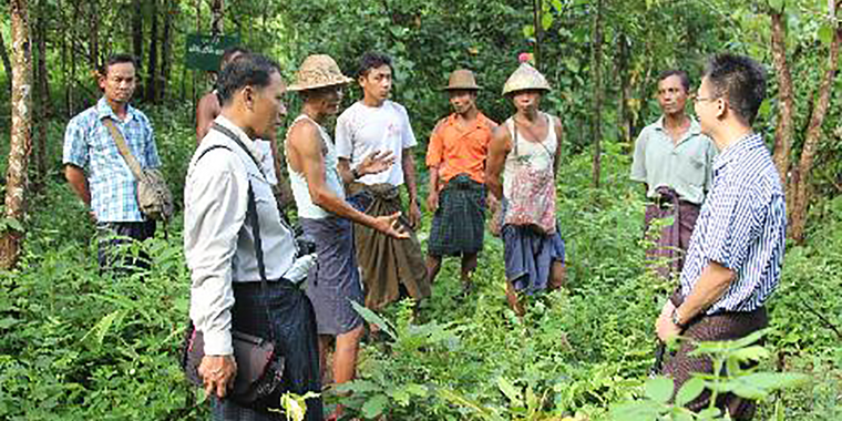 Ahleichaung CF Rakhine explaining iron wood management