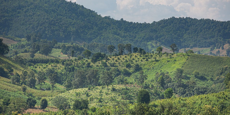 Mosaic forest landscape in Nan province, Thailand