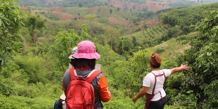 Located in the highlands of Nan province, Kor Tor Chor land in Santisuk district is significantly degraded and must be restored through diversified tree planting.