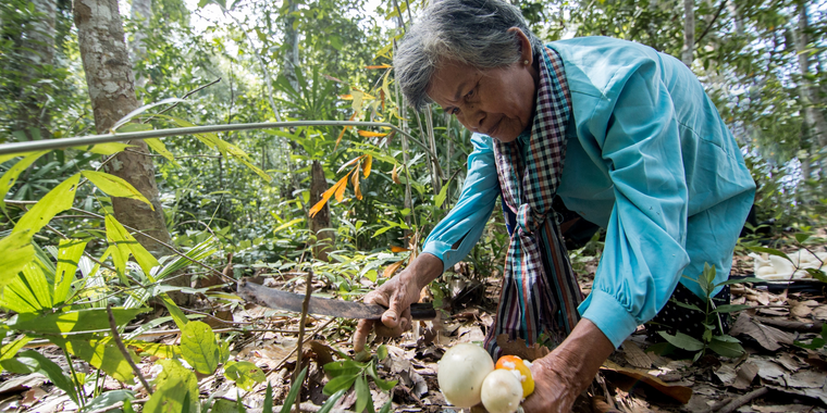 Community-led credit scheme in Cambodia opens space for women to participate in forest governance, protecting the forest and stopping illegal logging
