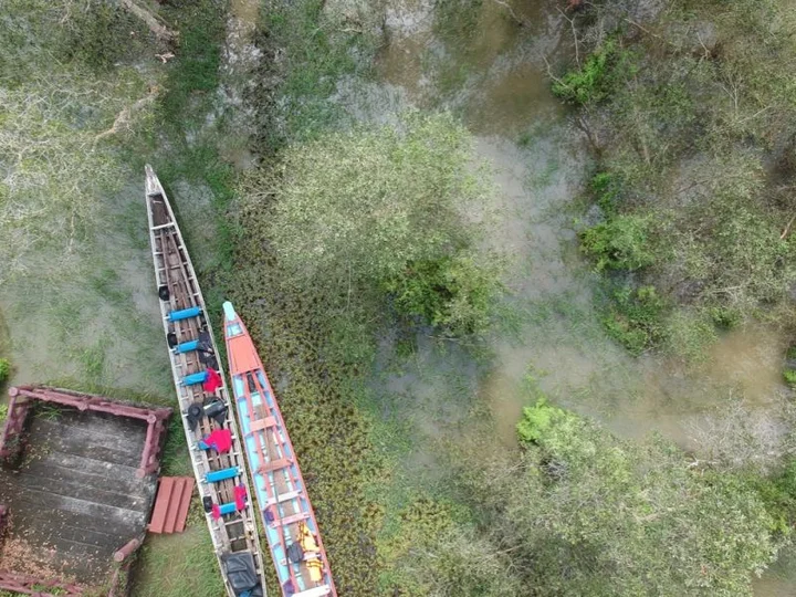 Two wooden boats with colorful seats docked beside a wooden platform in a partially flooded area surrounded by dense greenery and trees.