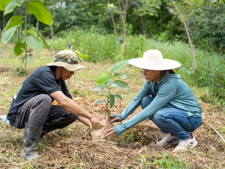 Trees4All in Thailand