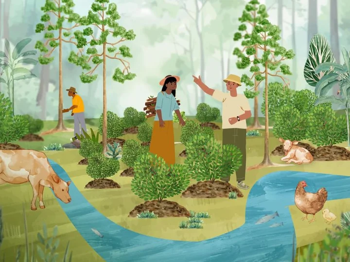 Agroforestry 101: Enhancing Livelihoods and Ecosystem Resilience