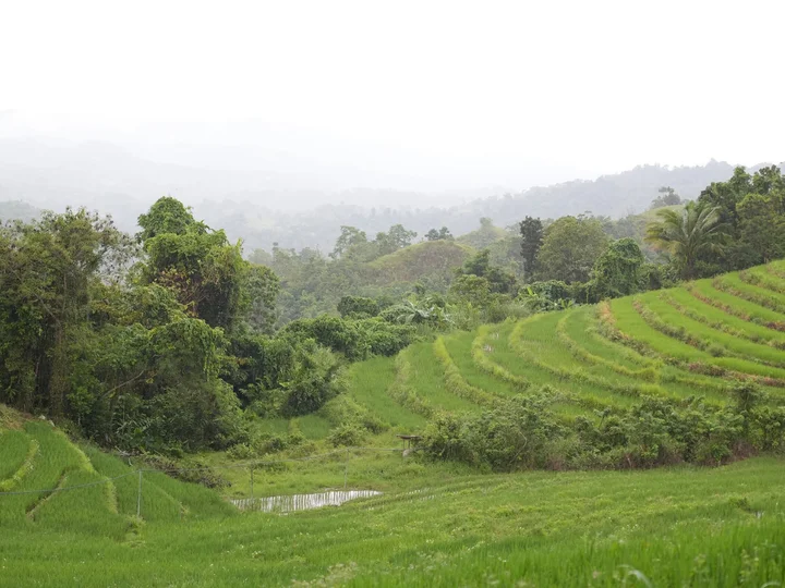 The Carood watershed in Bohol, Philippines, spans 101,887 hectares of diverse land uses, ranging from coastal mangroves to agricultural land.