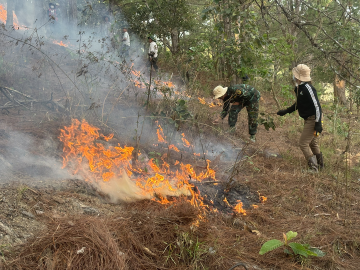 Local community members in Lam Dong province, Viet Nam showcase traditional techniques for burning pine fuel during a CBFiM training