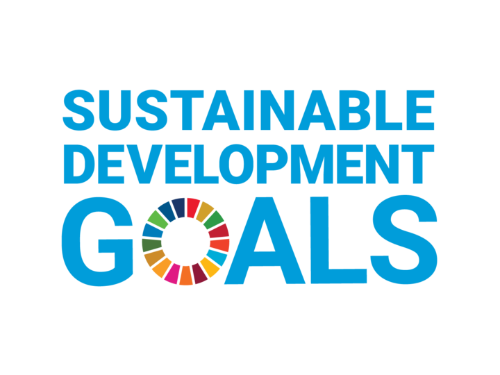 SDG logo whitespace