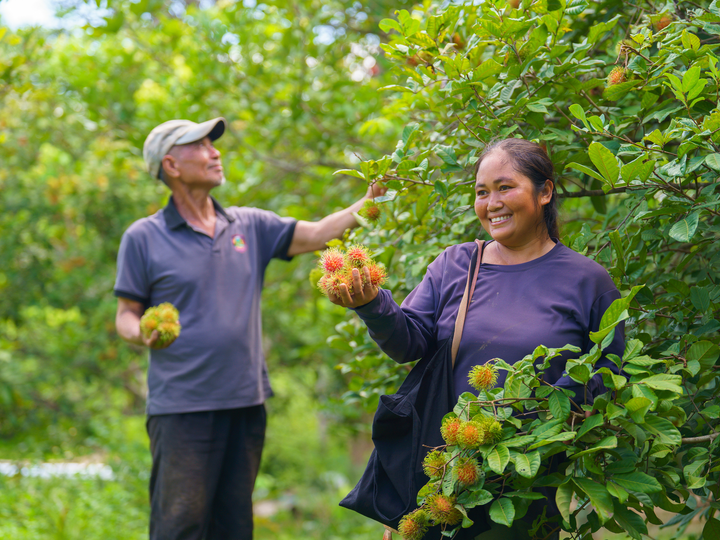 Community forestry in Lao PDR