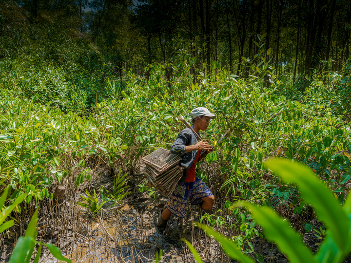 Annual report 2024-2025 - Engaging the public on forest landscape issues