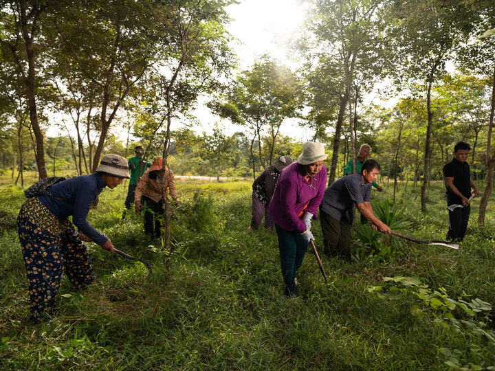 Cambodia Kampong Svay