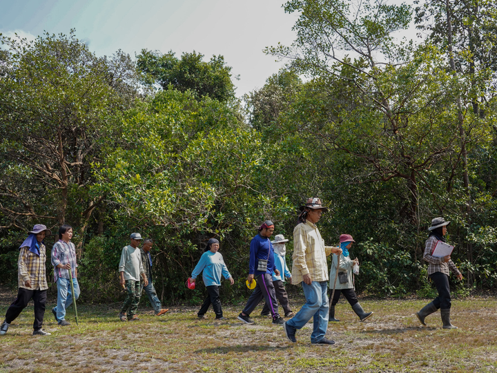 People walking in forest
